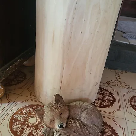 Reni Es Eli Mesehaza * Dunabogdány