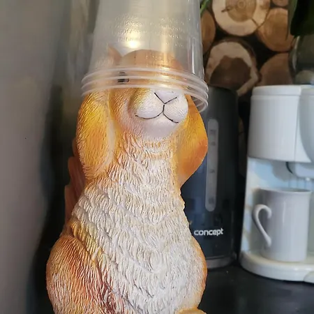 Reni Es Eli Mesehaza * Dunabogdány